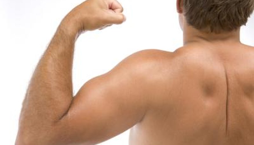 Exercise back muscles. Exercise back muscles.