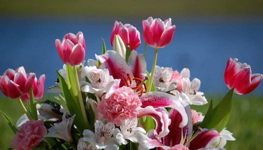 Fragrance-free tulips balance Stargazer lily's intense, spicy scent. Fragrance-free tulips balance Stargazer lily's intense, spicy scent.