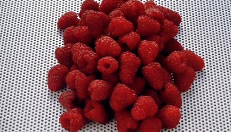 A group of raspberries grouped together show off their bright and enticing colors A group of raspberries grouped together show off their bright and enticing colors