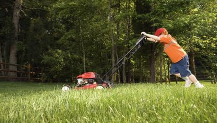 Mowing lawns is another way to earn cash. Mowing lawns is another way to earn cash.
