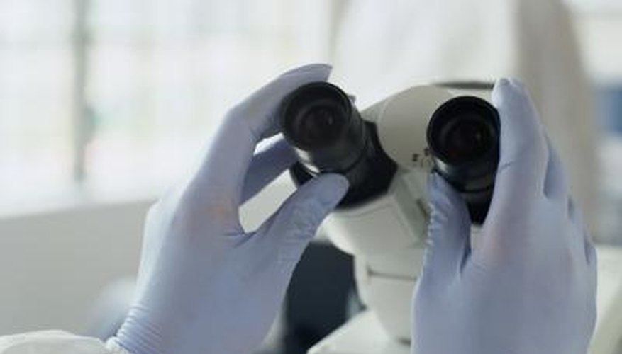 Microscope nosepiece which holds the objective lenses Microscope nosepiece which holds the objective lenses