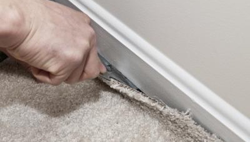 Professional carpet installers Professional carpet installers