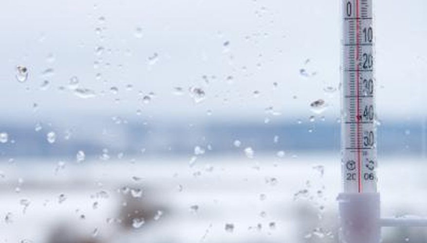 Temperatures below 50 degrees F could damage the plant. Temperatures below 50 degrees F could damage the plant.