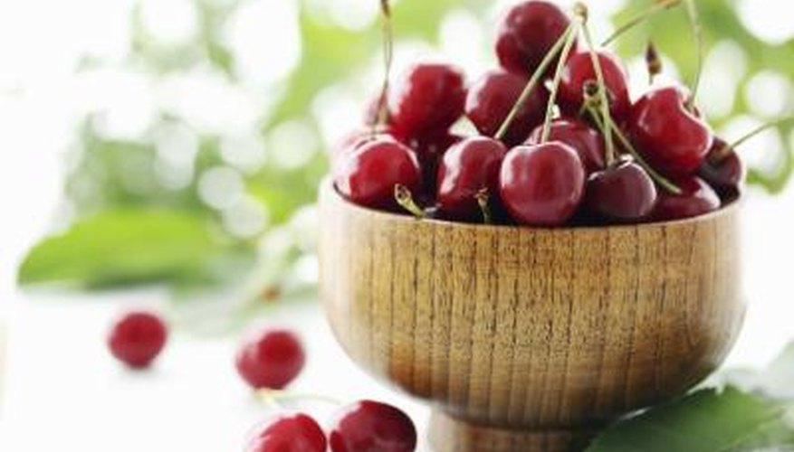 Basket of cherries Basket of cherries