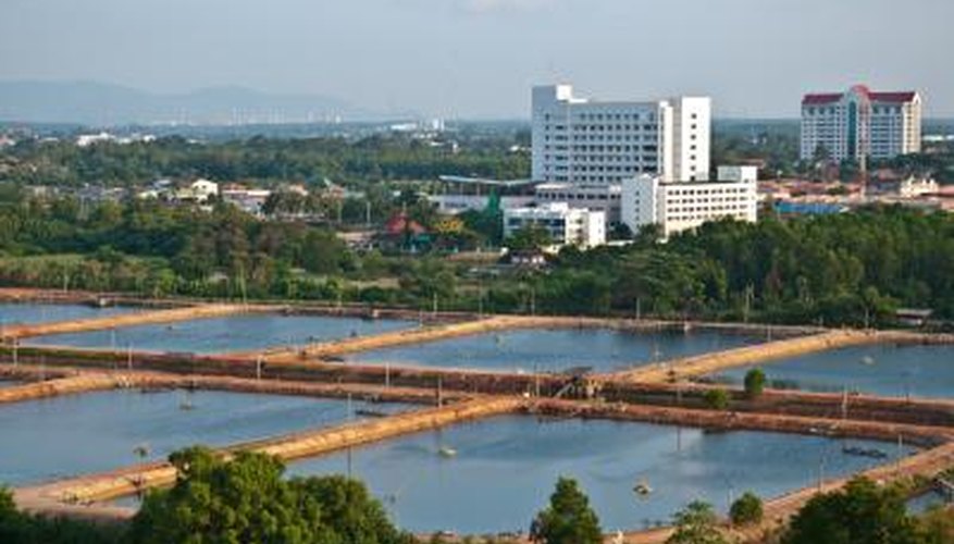 Shrimp farm Shrimp farm