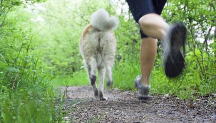 Photo Credit: Błażej Łyjak/iStock/Getty Images A dog's hind legs.