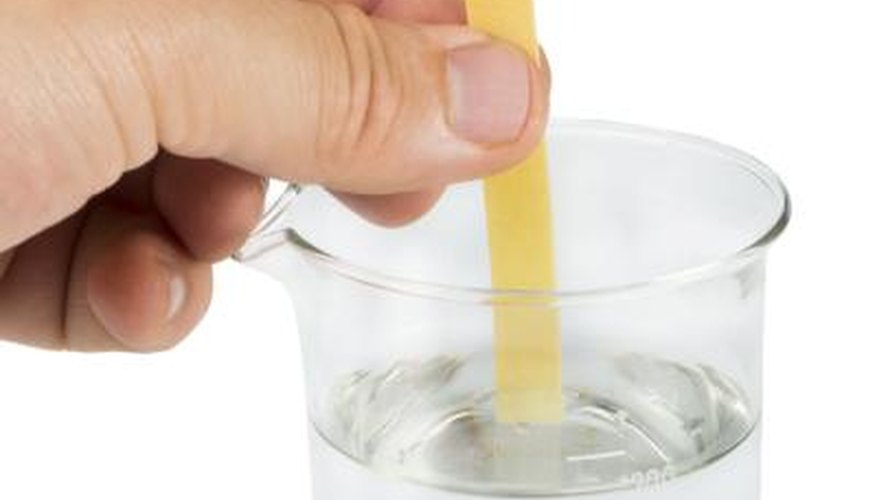Litmus paper in solution testing the pH. Litmus paper in solution testing the pH.