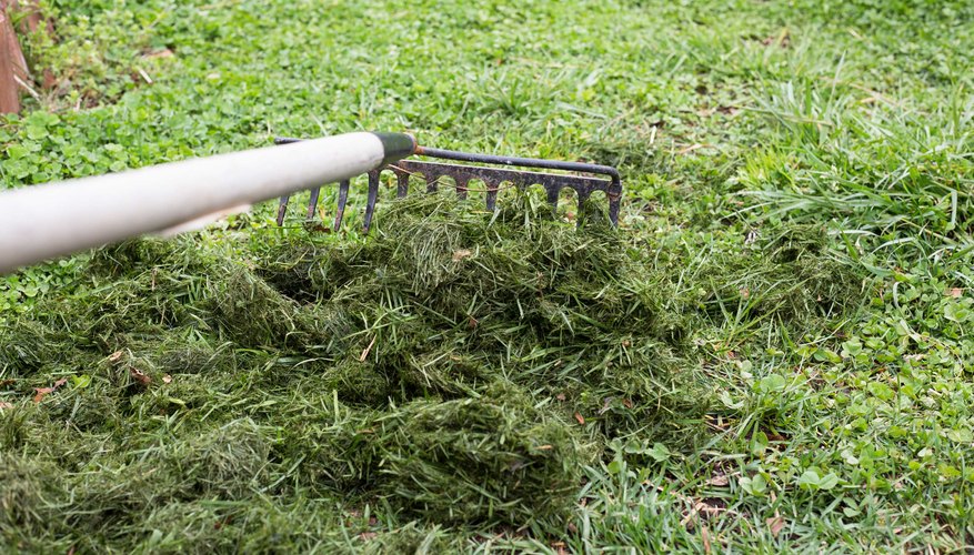 How to Use Grass Clippings to Fertilize a Garden | Garden Guides