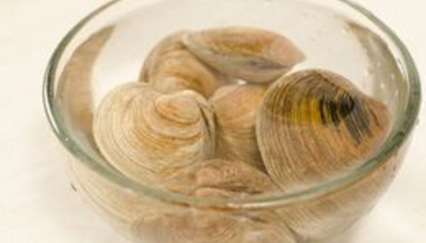 How to Clean Clams How to Clean Clams