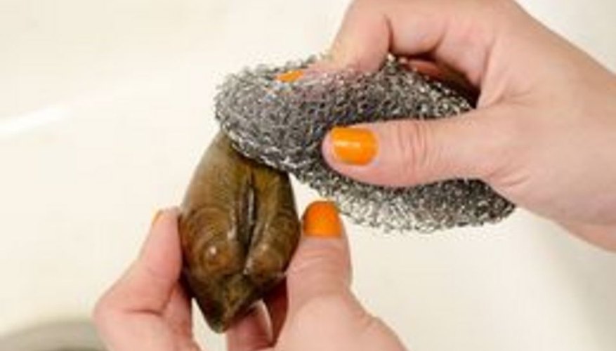 How to Clean Clams How to Clean Clams