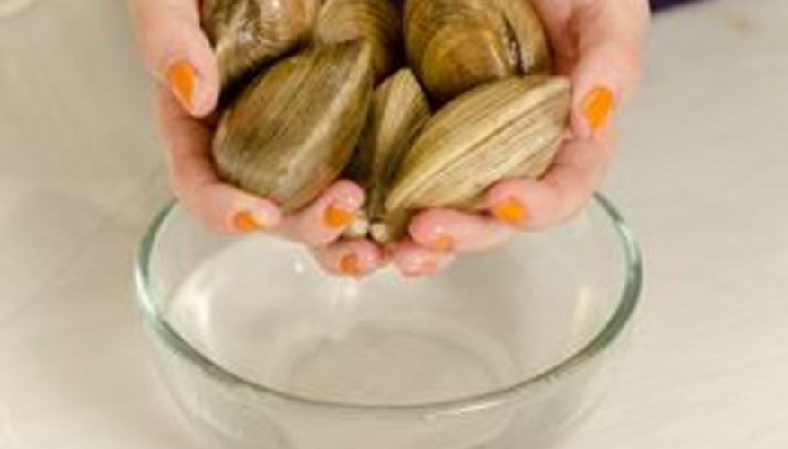 How to Clean Clams How to Clean Clams