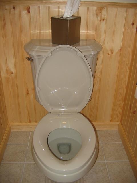 How to Clean Toilet Rings