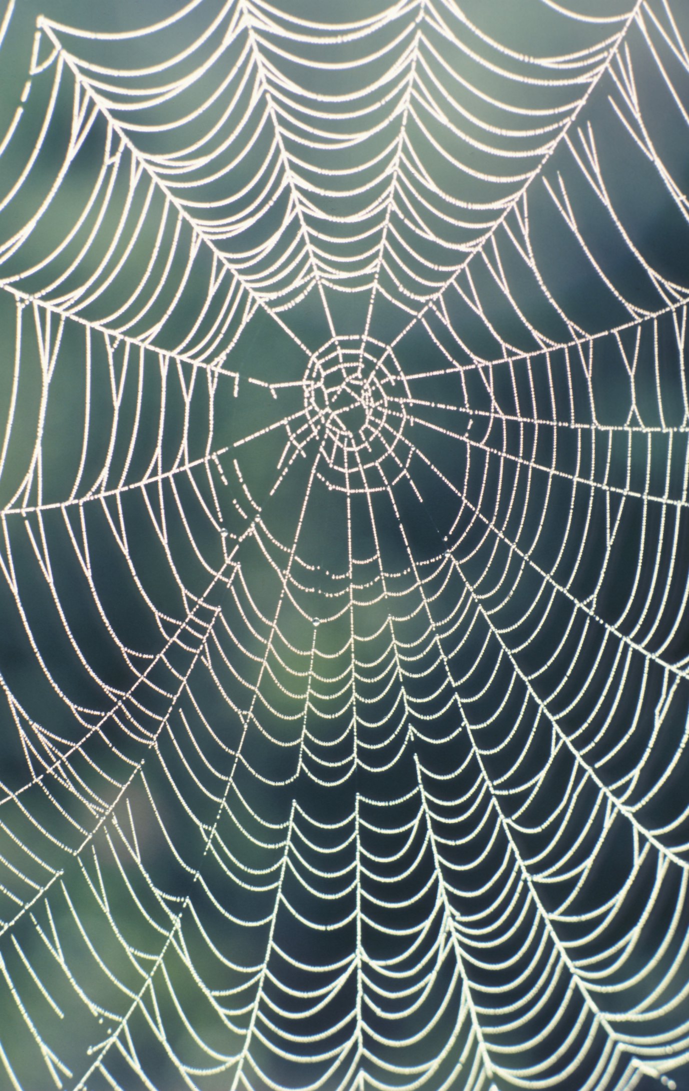 how-to-make-a-realistic-spider-web-ehow