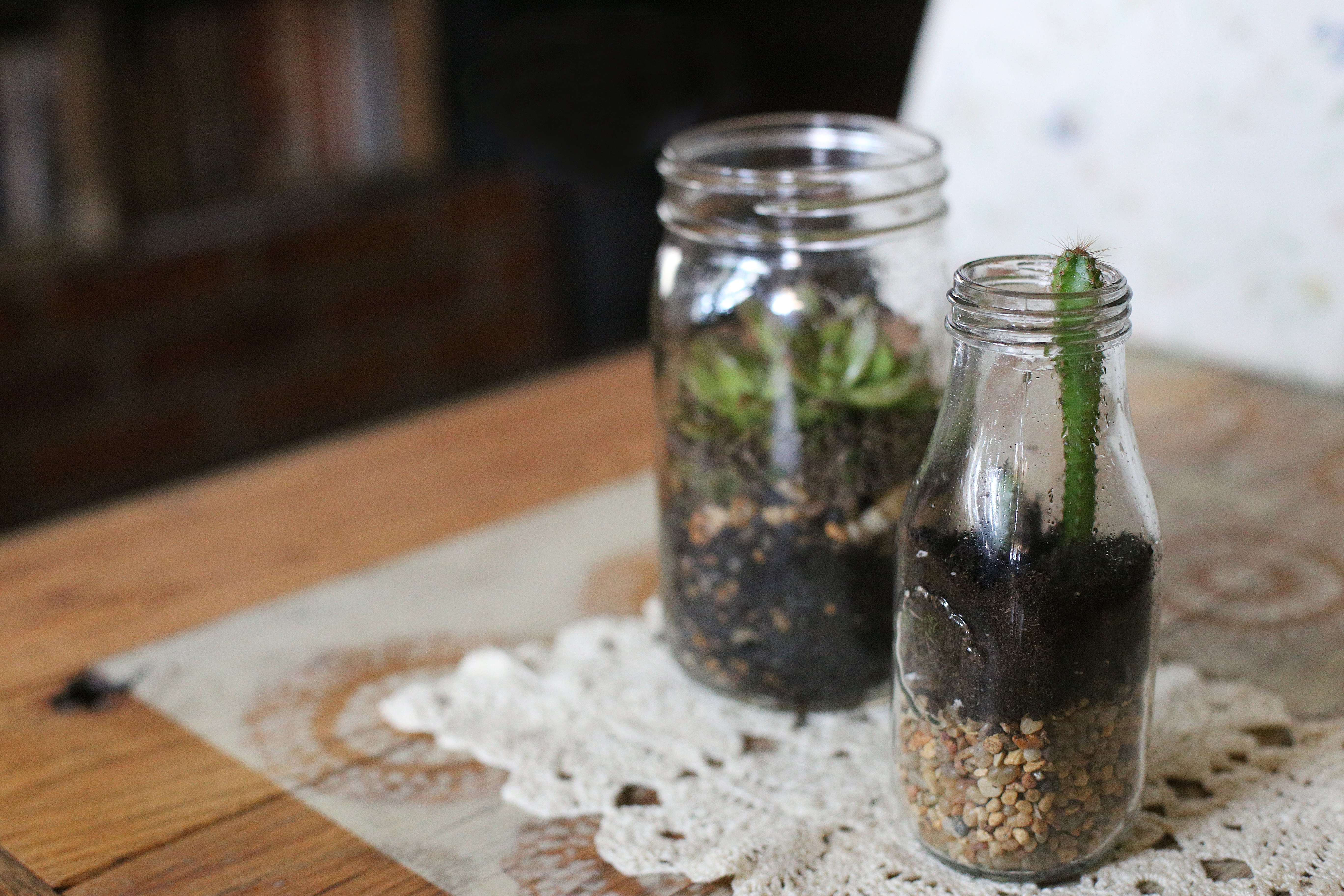 How To Grow Plants In Glass Bottles