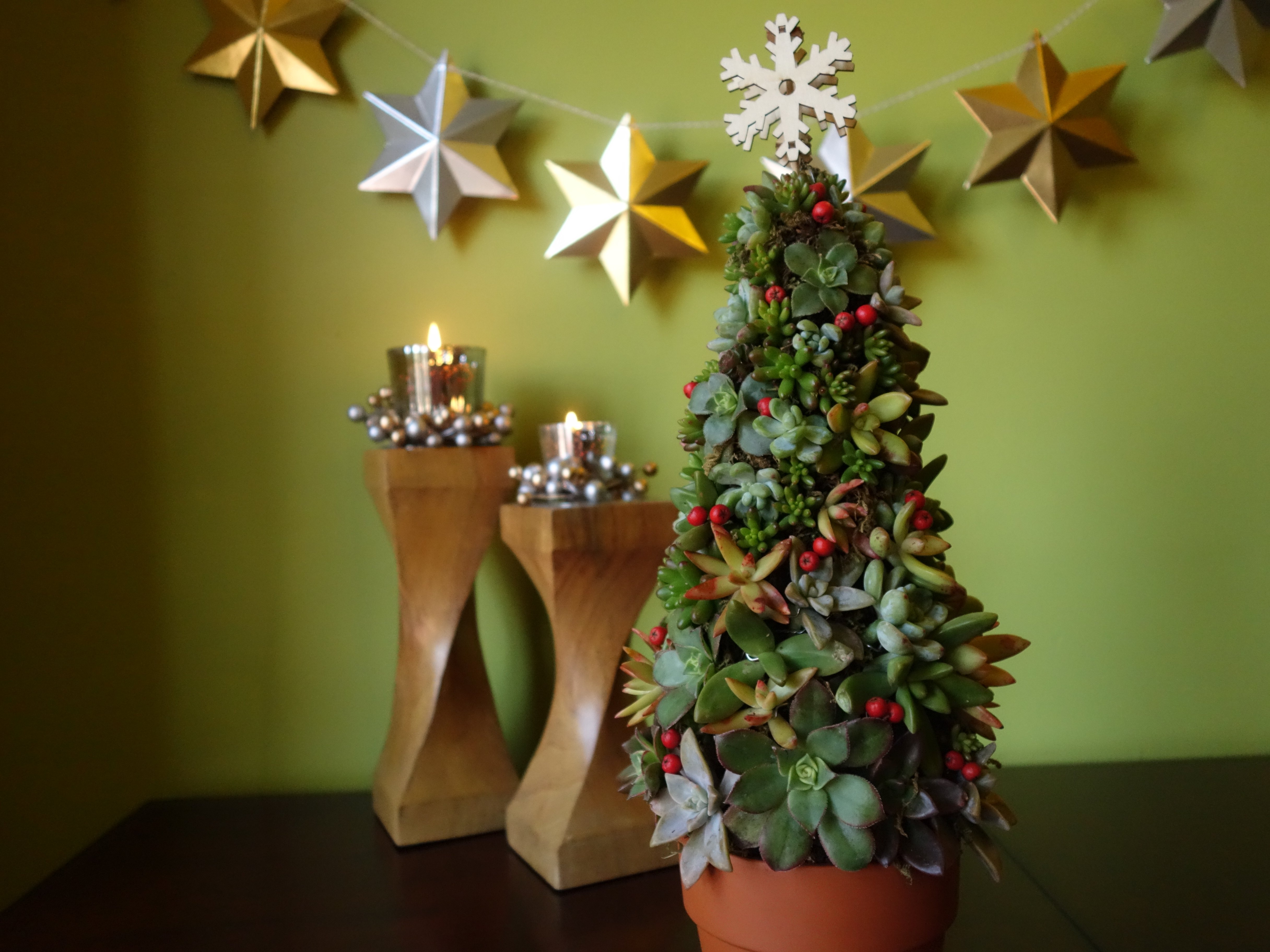 Create a Living Succulent Christmas Tree Tutorial | eHow