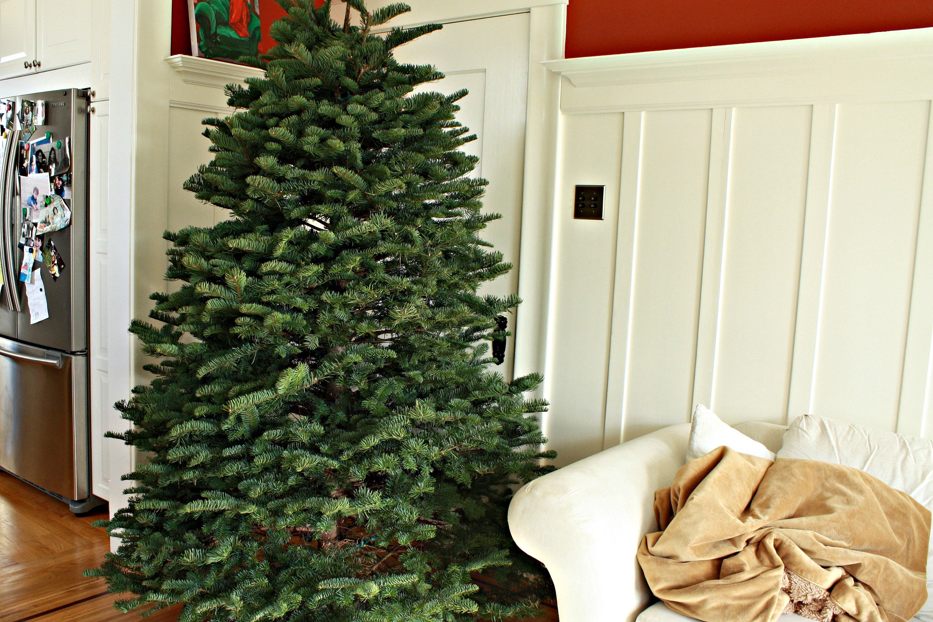 How to Prepare a Christmas Tree for the Stand eHow