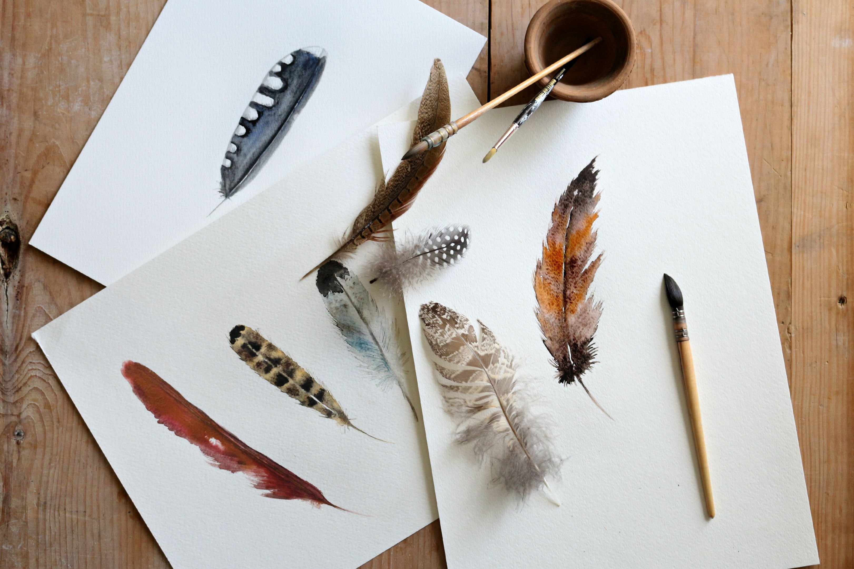 How to Do a Watercolor Painting of Bird Feathers | eHow