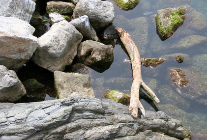 How to Build Fairy Castles in Your Garden | eHow