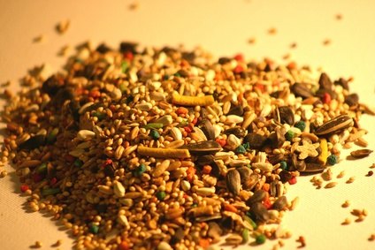 how to sterilize bird seed ehow how to sterilize bird seed ehow