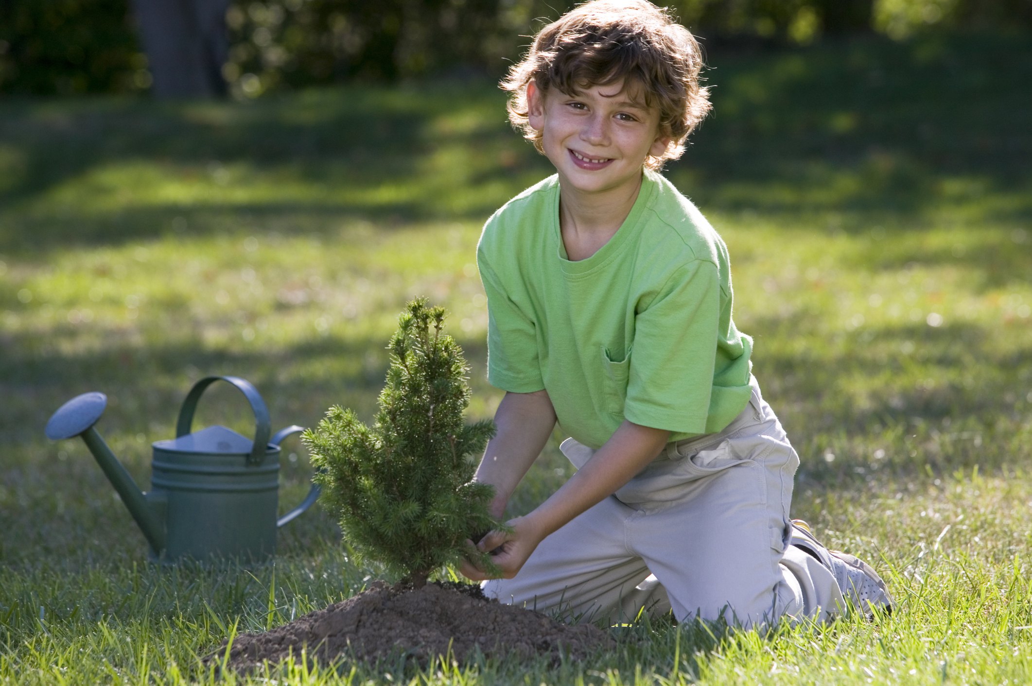 government-grants-for-planting-trees-ehow