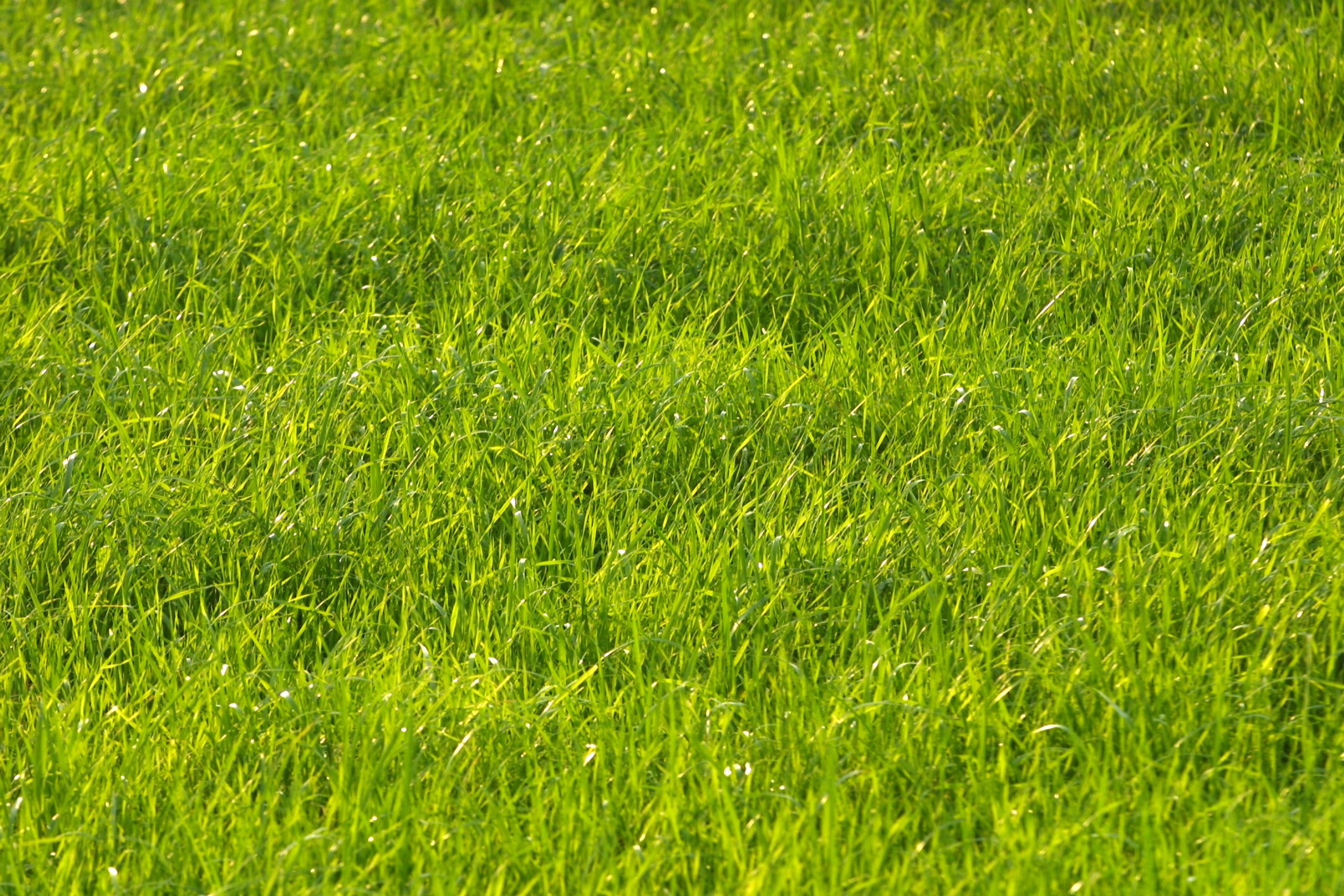 How Much To Cut 2 Acres Of Grass