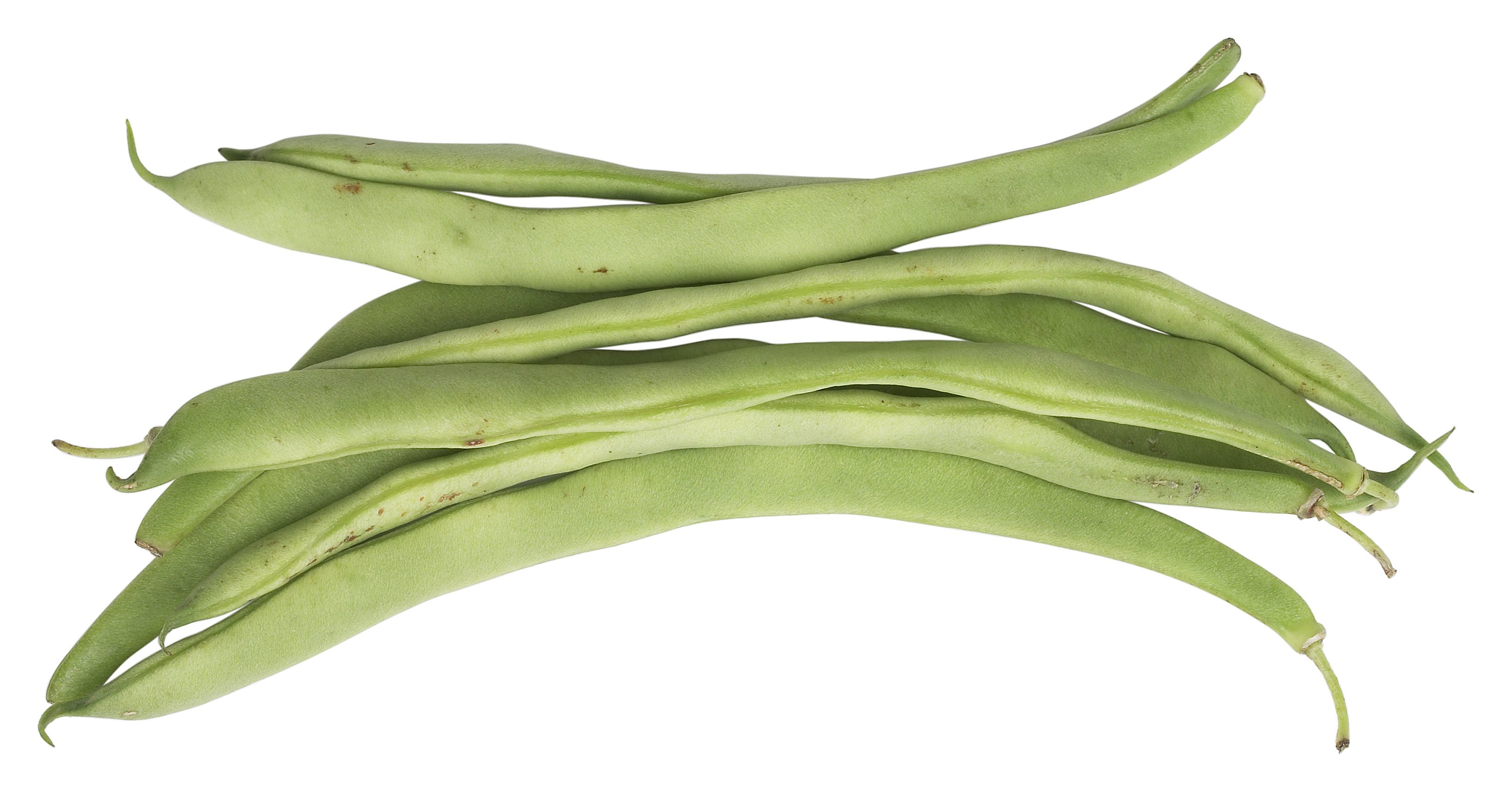 A Weed That Looks Like String Beans | eHow