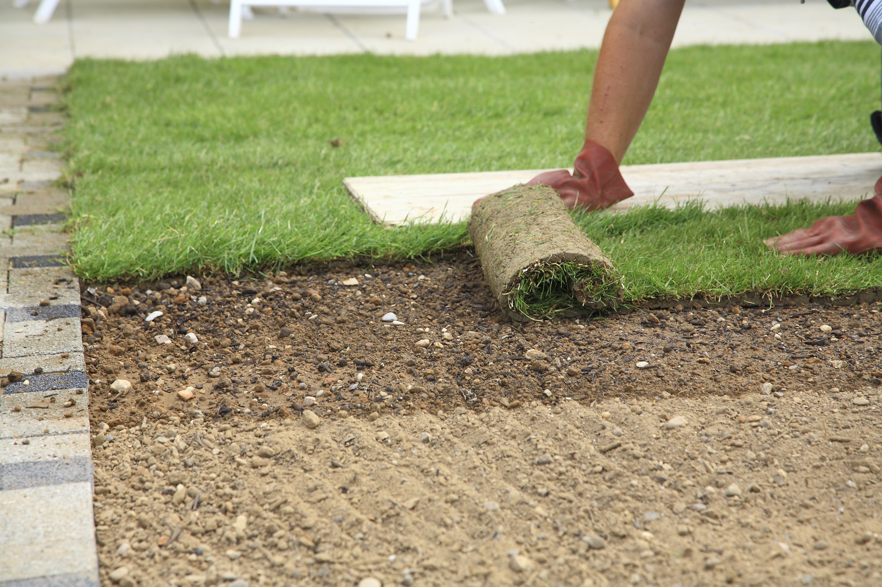 how-to-plant-sod-in-arizona-ehow