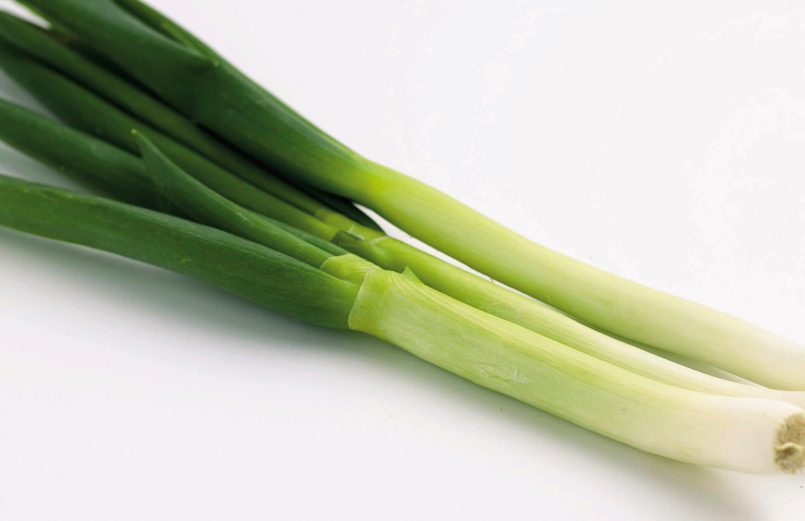 how-to-clean-scallions-ehow