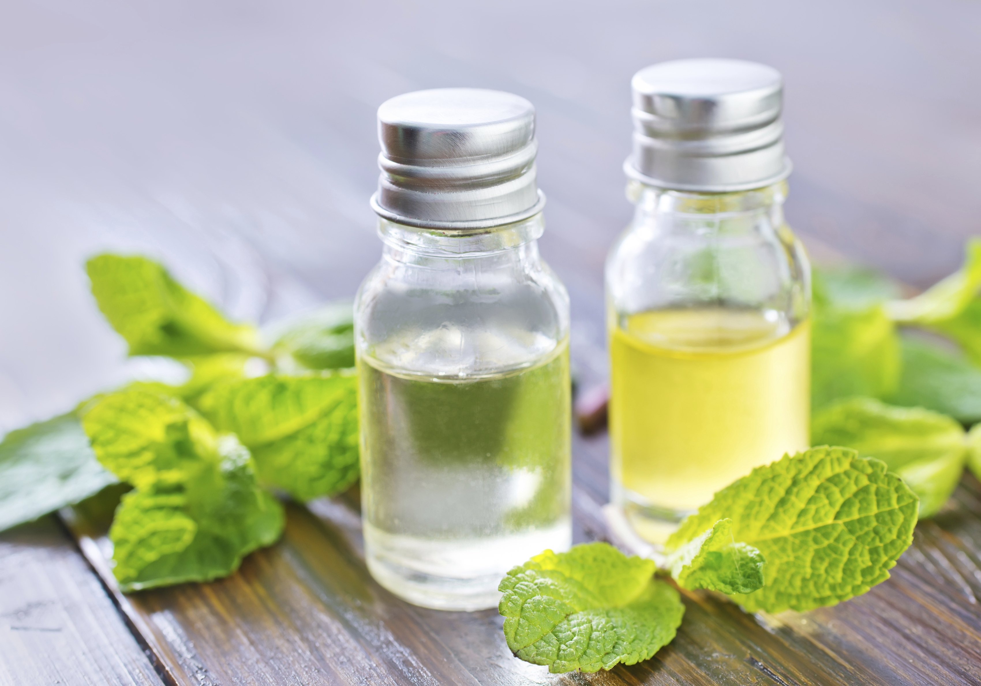 how-to-make-peppermint-essential-oil-ehow