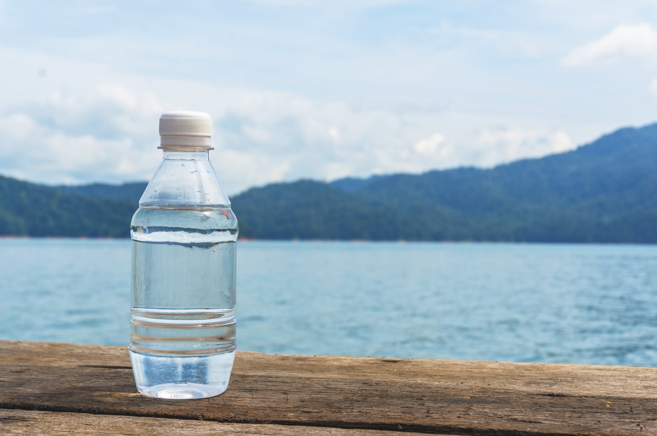 How To Make A Piggy Bank Out Of A Water Bottle 