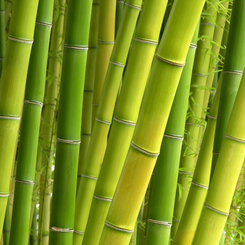 how-to-make-bamboo-baskets-ehow