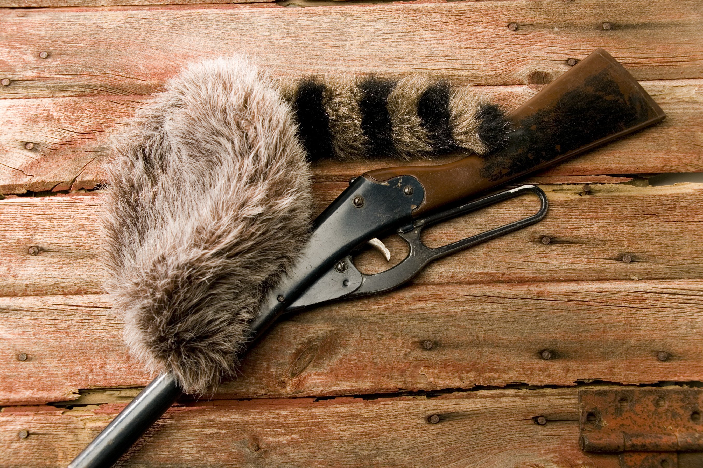 How To Make A Paper Coonskin Hat EHow   87514467 