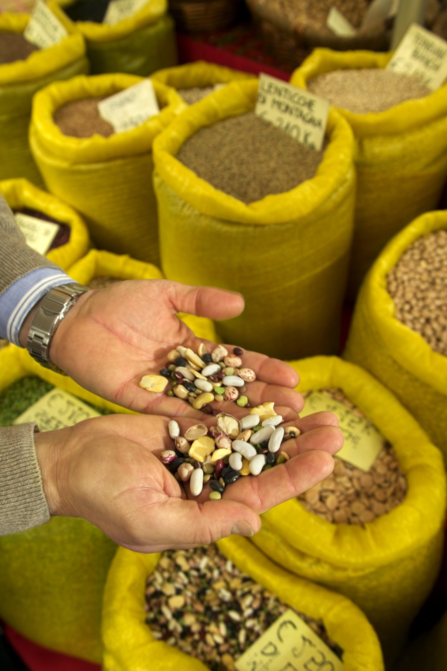 Northern Beans Vs. Garbanzo Beans | eHow