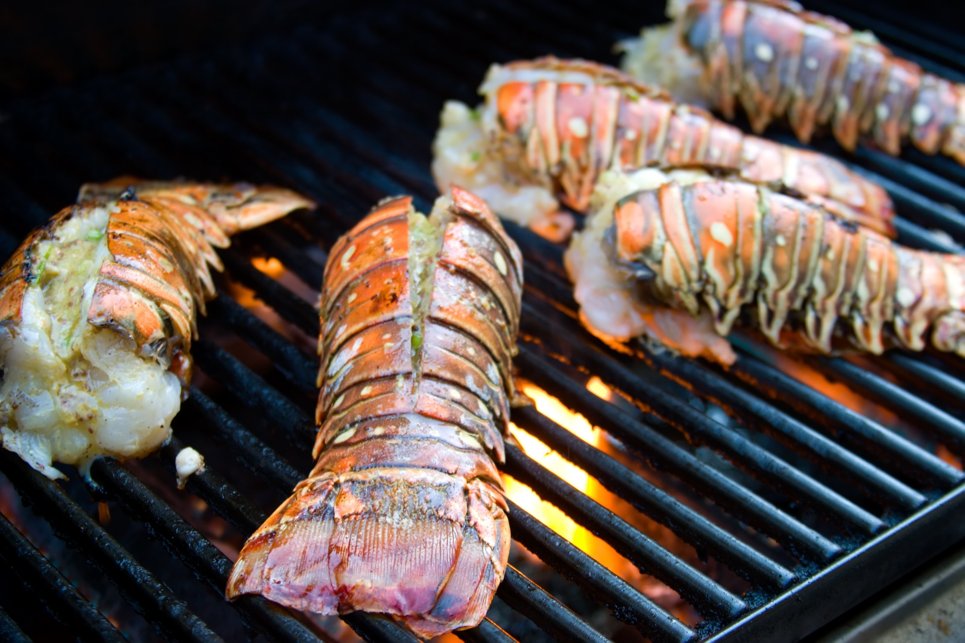 How to BBQ a Lobster Tail | eHow