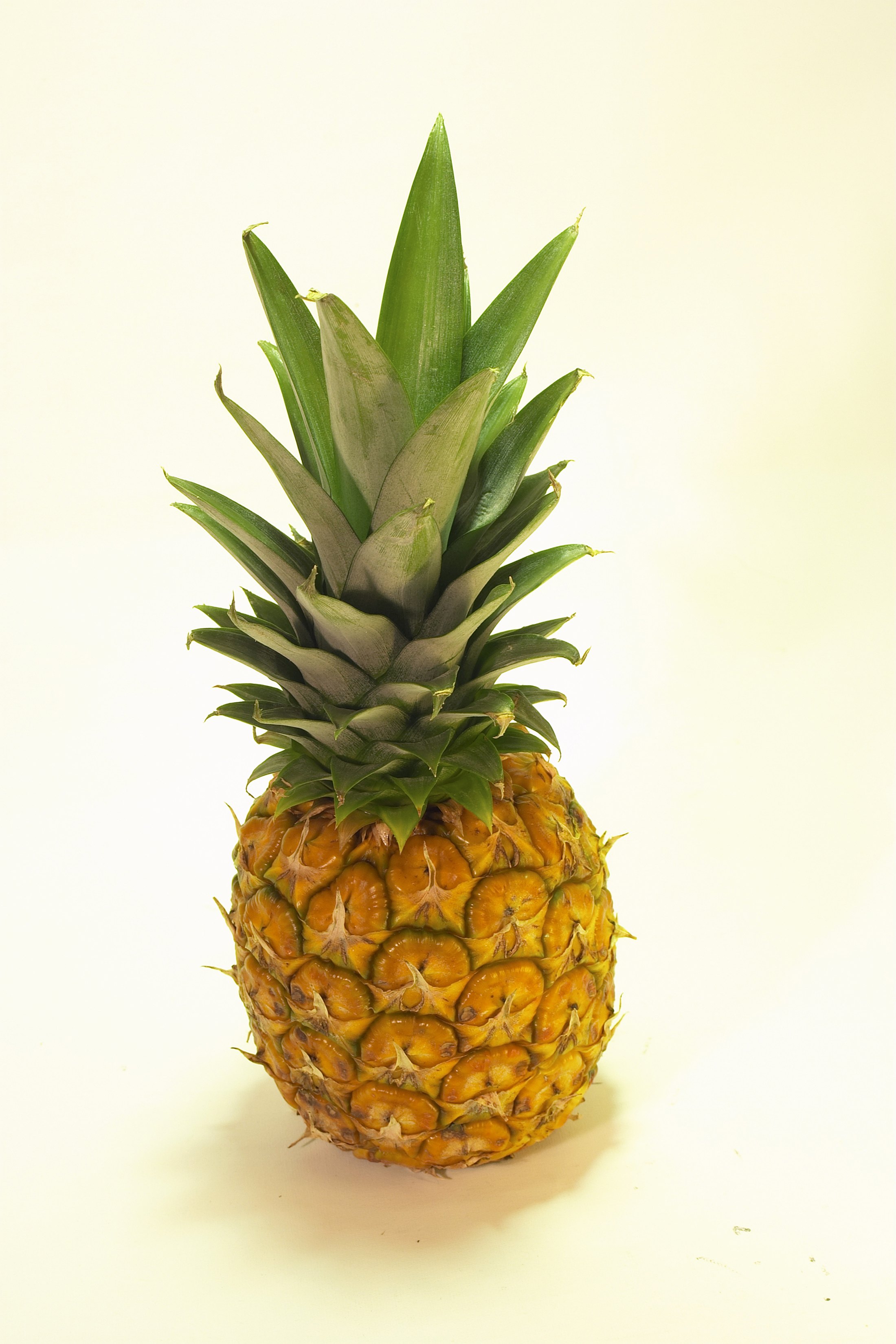 how-to-make-a-pineapple-paper-mache-ehow