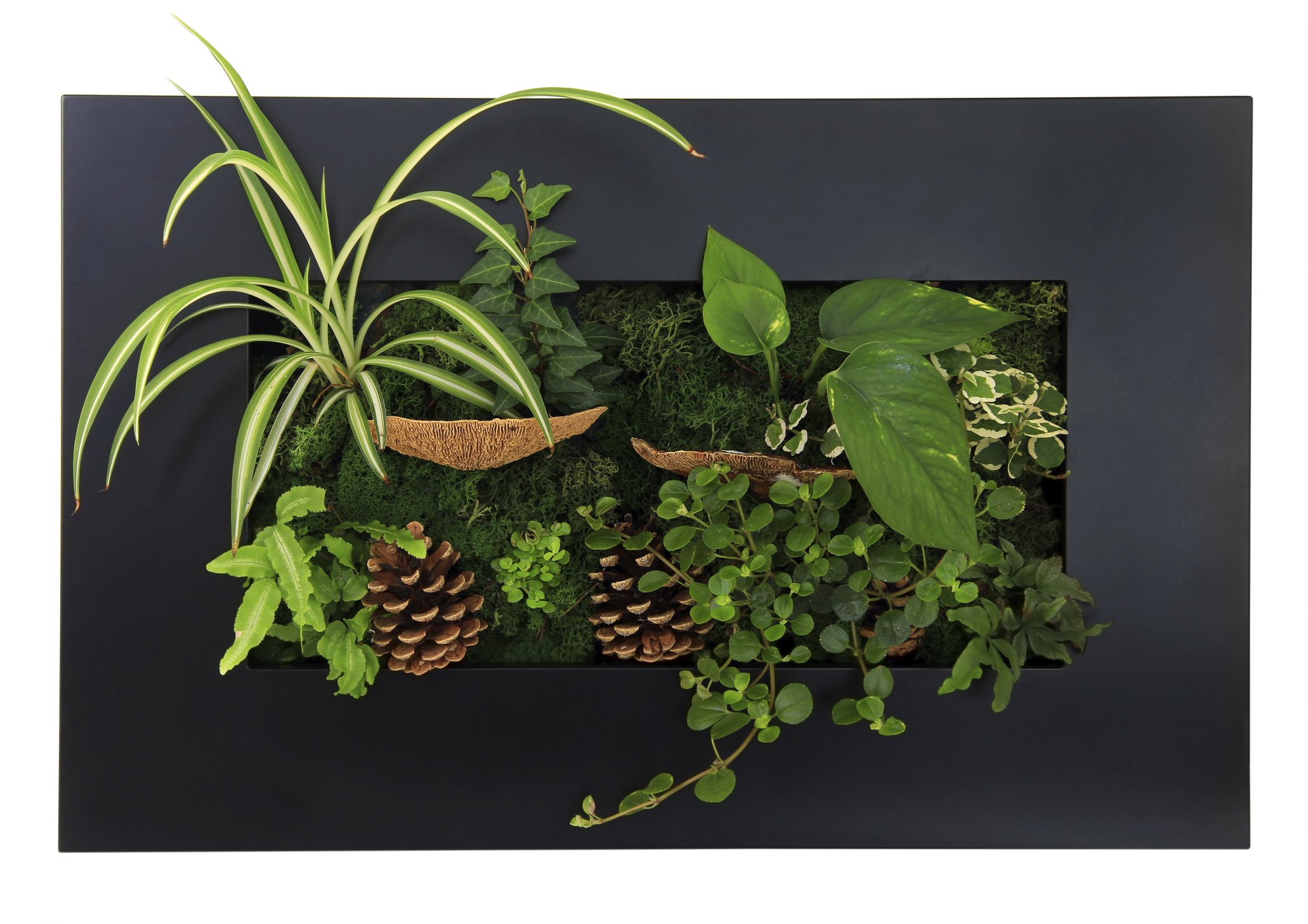 The Best Potting Soil for Spider Plants eHow